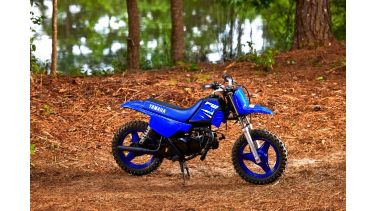 PW50 (26)